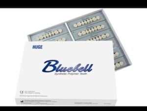 Dinți artificiali pentru proteze Bluebell cu estetică deosebită.