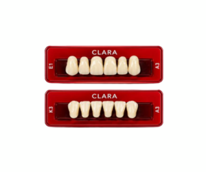 Set complet max+mandibula dinti acrilici Clara in 2 straturi pentru proteze dentare